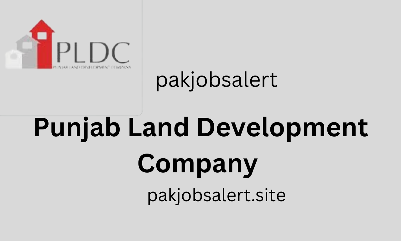 job in Lahore